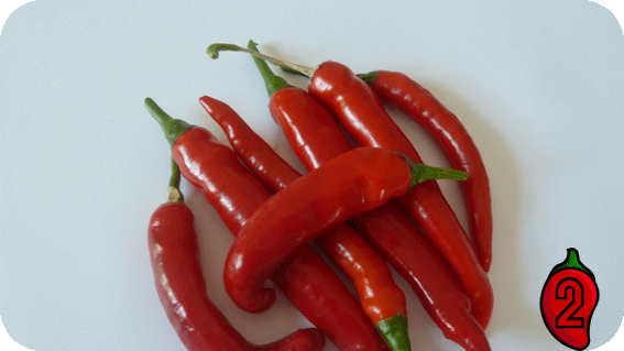peperoni nasiona chili na parapet balkon pepperoni uprawa ostra papryka sos